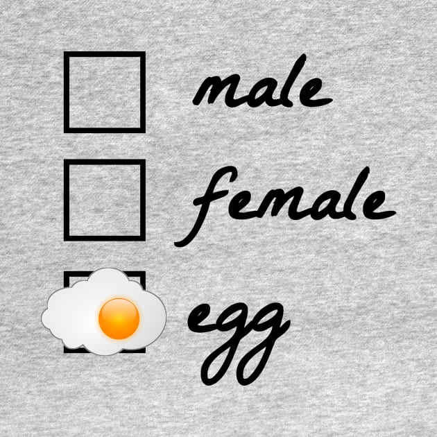 Male, female, egg! The egg became famous in 2019. Politically correct, gender-neutral design. Gift idea for nerds, geeks and reddit readers. by Qwerdenker Music Merch